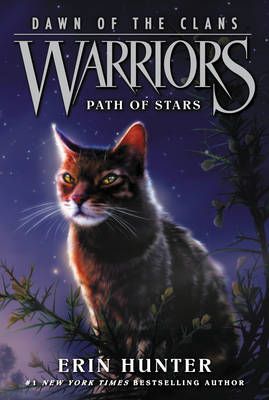 Warriors: The Broken Code #5: The Place of No Stars (Hardcover)