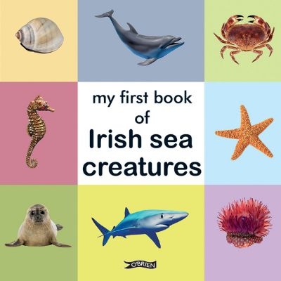 Picture of My First Book of Irish Sea Creatures