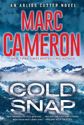 Picture of Cold Snap: An Action Packed Novel of Suspense